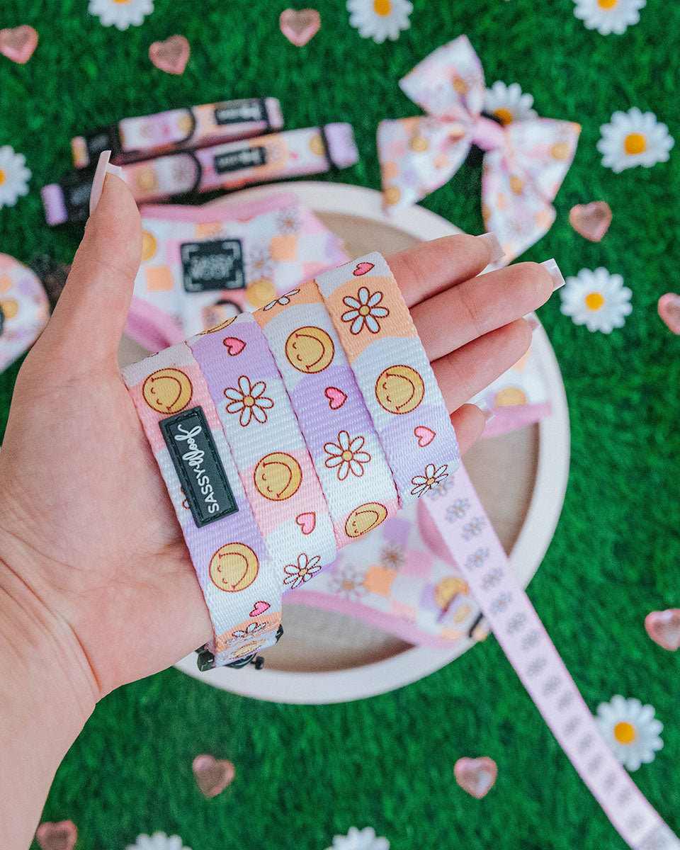 Gänseblümchen, Smileys und Herzen Lila, Rosa und Weiß 60" Hundeleine - Daisy Me Rolling