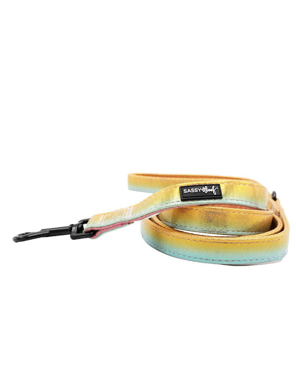 Rainbow Reflective Dog Leash - The Night Life 60"