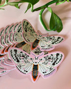 Dream Folk Studio - Leopard Moth Sticker