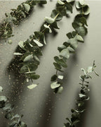 Noshinku Eukalyptus-Rosmarin Pflegendes Handdesinfektionsmittel 🌿 100 ml Mini-Nachfüllbeutel - Bio &amp; nicht klebrig