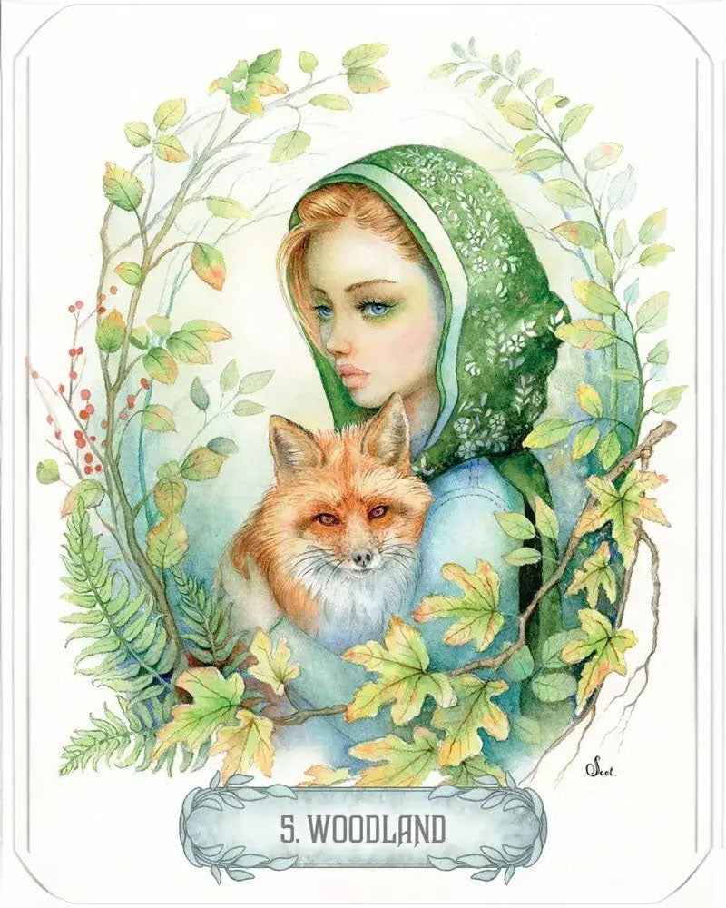 Oracle of Light & Dreams 49 Card Deck & 104pg Illustrated Guidebook