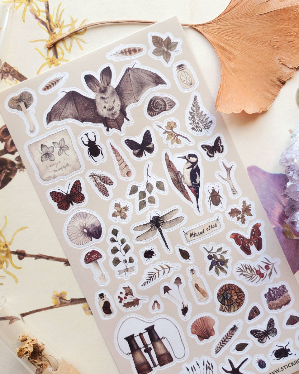 The Naturalist Sticker Sheet - Art by Amy Rose Geden