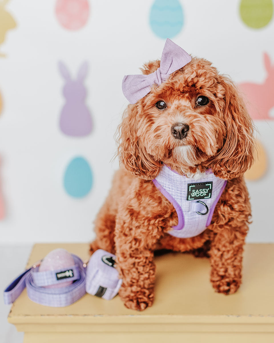 Aurora Purple 60" Fabric Dog Leash