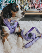 Aurora Purple 60" Fabric Dog Leash