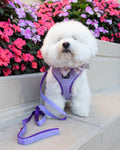 Aurora Purple 60" Fabric Dog Leash
