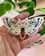Dream Folk Studio - Leopard Moth Sticker