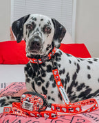 Sassy Woof x Hello Kitty "Red Classic" 🍎 Dog Leash - 60" Red Gingham Padded Handle 🎀