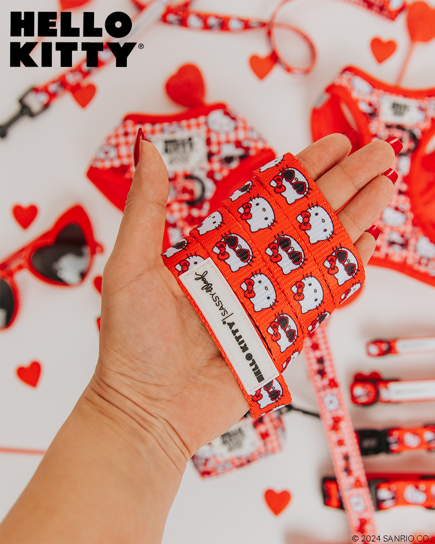 Classic & Cool Hello Kitty® Red Classic Dog Leash - 60"