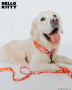 Sassy Woof x Hello Kitty "Red Classic" 🍎 Dog Leash - 60" Red Gingham Padded Handle 🎀