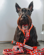 Sassy Woof x Hello Kitty "Red Classic" 🍎 Dog Leash - 60" Red Gingham Padded Handle 🎀