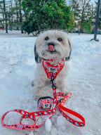 Sassy Woof x Hello Kitty "Red Classic" 🍎 Dog Leash - 60" Red Gingham Padded Handle 🎀