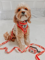 Sassy Woof x Hello Kitty "Red Classic" 🍎 Dog Leash - 60" Red Gingham Padded Handle 🎀