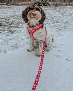 Sassy Woof x Hello Kitty "Red Classic" 🍎 Dog Leash - 60" Red Gingham Padded Handle 🎀