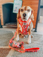 Sassy Woof x Hello Kitty "Red Classic" 🍎 Dog Leash - 60" Red Gingham Padded Handle 🎀