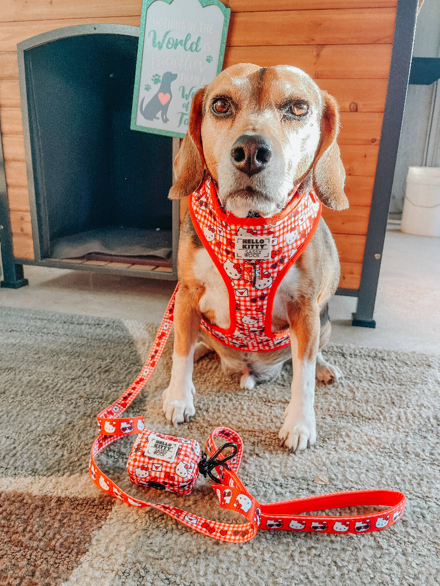 Classic & Cool Hello Kitty® Red Classic Dog Leash - 60"