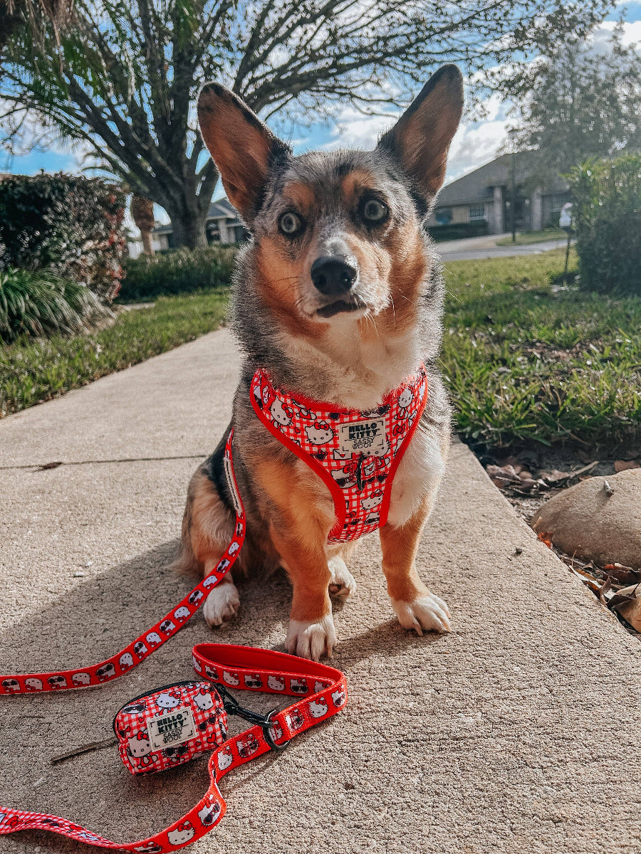 Classic & Cool Hello Kitty® Red Classic Dog Leash - 60"