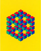 Optical Illusions Playing Card Deck by US Game Systems