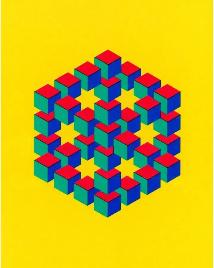 Optical Illusions Playing Card Deck