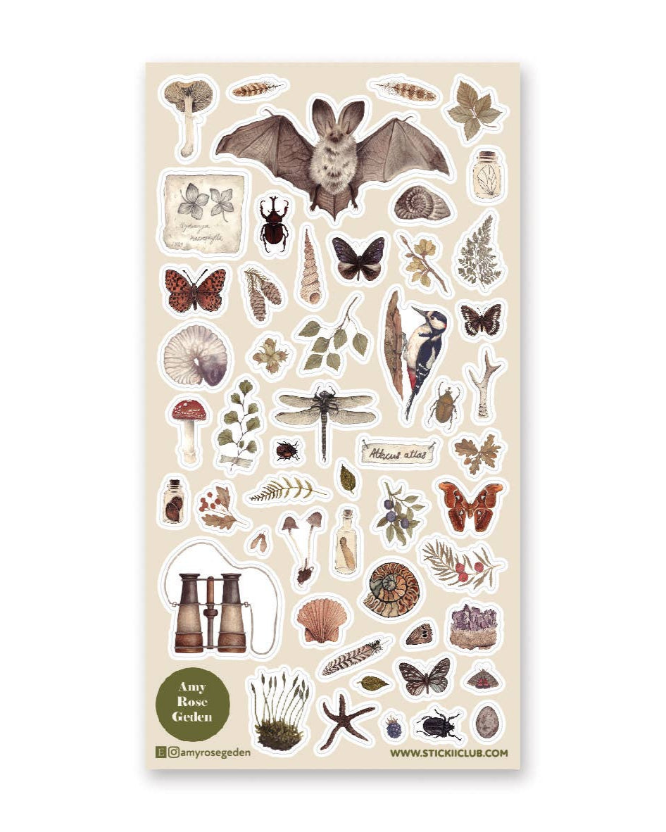 The Naturalist Sticker Sheet - Art by Amy Rose Geden