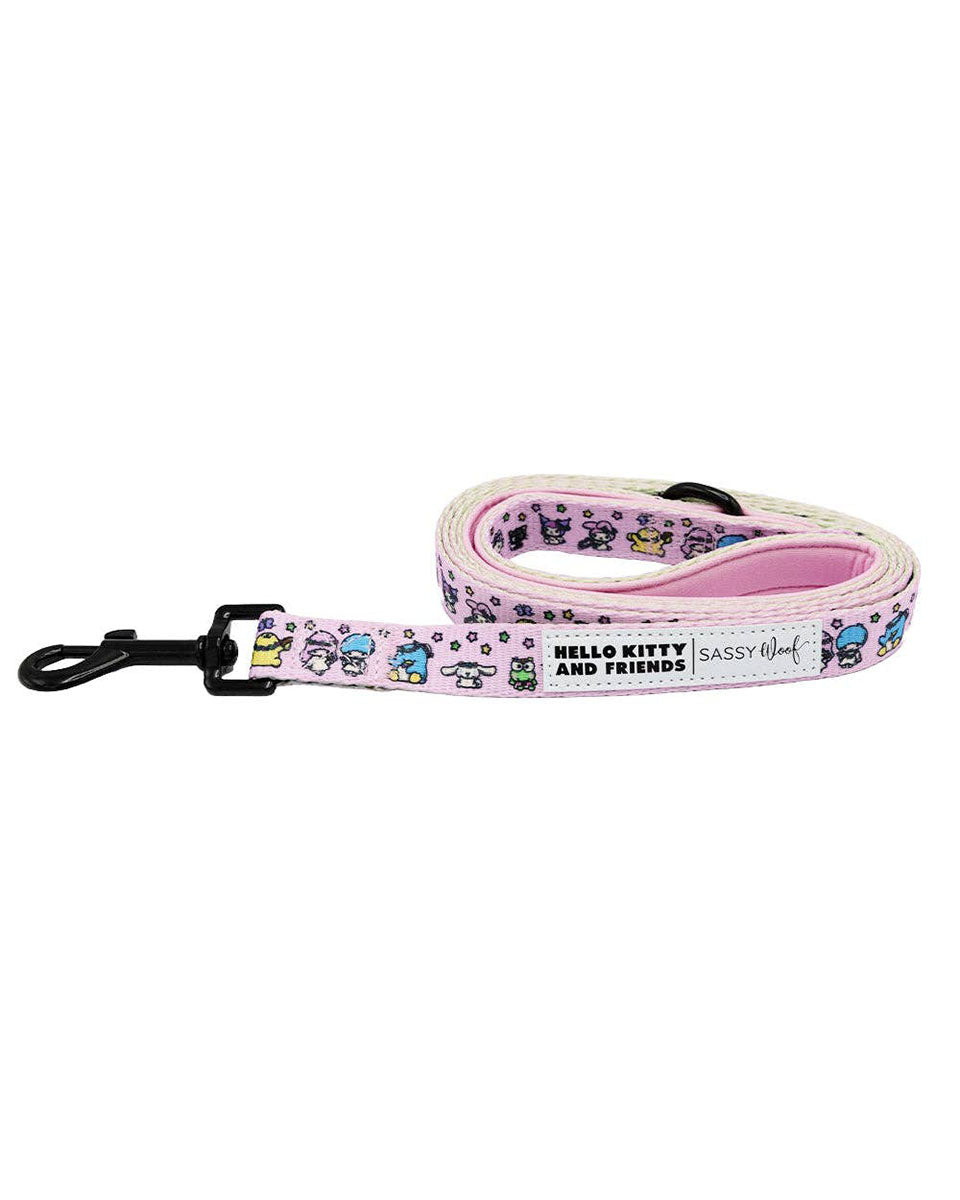 Hello Kitty & Friends® Flower Festival Dog Leash - 60"