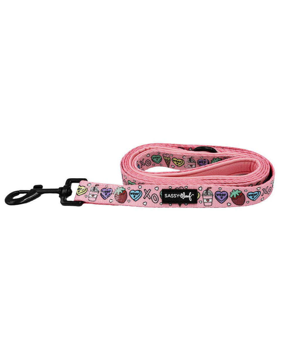 Hot Pink Candy Hearts, Ice Cream Cones, Strawberries, and Boba Print Fabric 60" Dog Leash - I Chews You