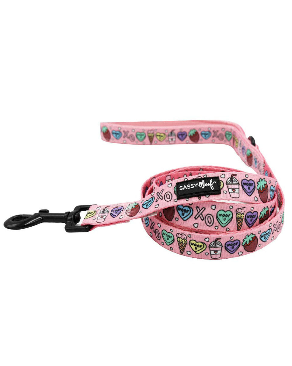 Hot Pink Candy Hearts, Ice Cream Cones, Strawberries, and Boba Print Fabric 60" Dog Leash - I Chews You