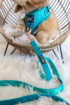 Napa Teal Green Dog Leash w/Rose Gold-toned Hardware -  60"