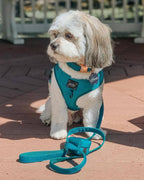 Napa Teal Green Dog Leash w/Rose Gold-toned Hardware -  60"