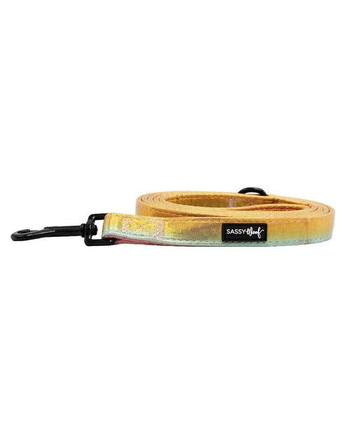 Correa reflectante arcoíris Sassy Woof "The Night Life" 🌈 para perros - Mango acolchado de 60"