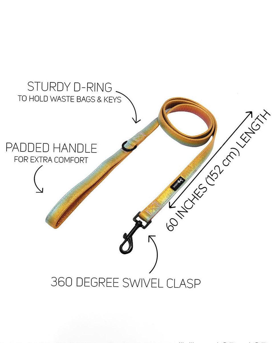 Rainbow Reflective Dog Leash - The Night Life 60"