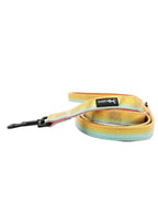 Sassy Woof "The Night Life" 🌈 Rainbow Reflective Dog Leash - 60" Padded Handle