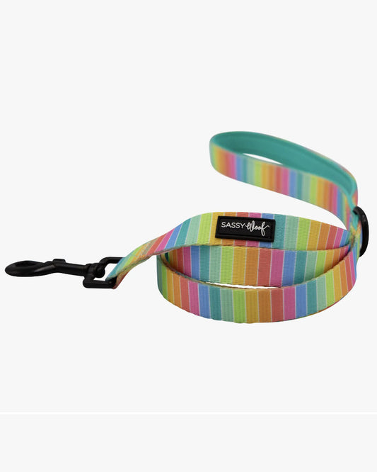 A SASSY WOOF Sassy Stripes pastel rainbow striped leash with black details and black clasp.  The loop is mint green on the opposite side.