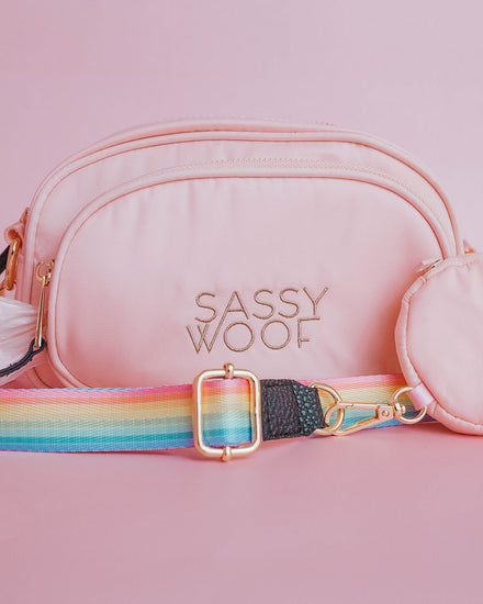A pastel pink crossbody bag pouch with two compartments has two gold-toned zippers and reads SASSY WOOF in gold embroidery. Attached is a rainbow strap in the style Sassy Stripes, and a pastel pink circular 3.45" treat pouch.